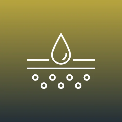 32 الصفحة الرئيسية قديم