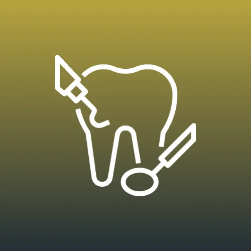 41 الصفحة الرئيسية قديم