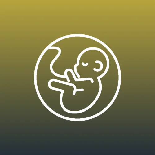 51 الصفحة الرئيسية قديم